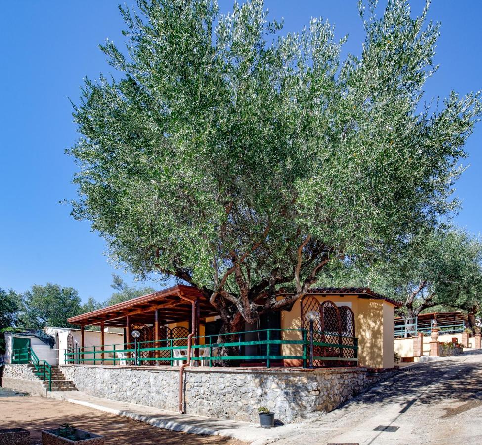 Villaggio Residence Pietra Grigia Marina di Camerota Buitenkant foto